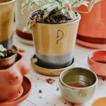 Półki z terakoty, które chłodzą i nawilżają powietrze – kapilarne meble do kuchni i salonu w stylu low-tech