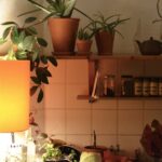 Magnetyczne listwy ścienne z ukrytym zasilaniem 24 V – modułowe półki, lampy i zioła na klik