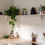 Parująca mikrospiżarnia w szafce kuchennej – terrakotowe wkłady, które chłodzą bez prądu